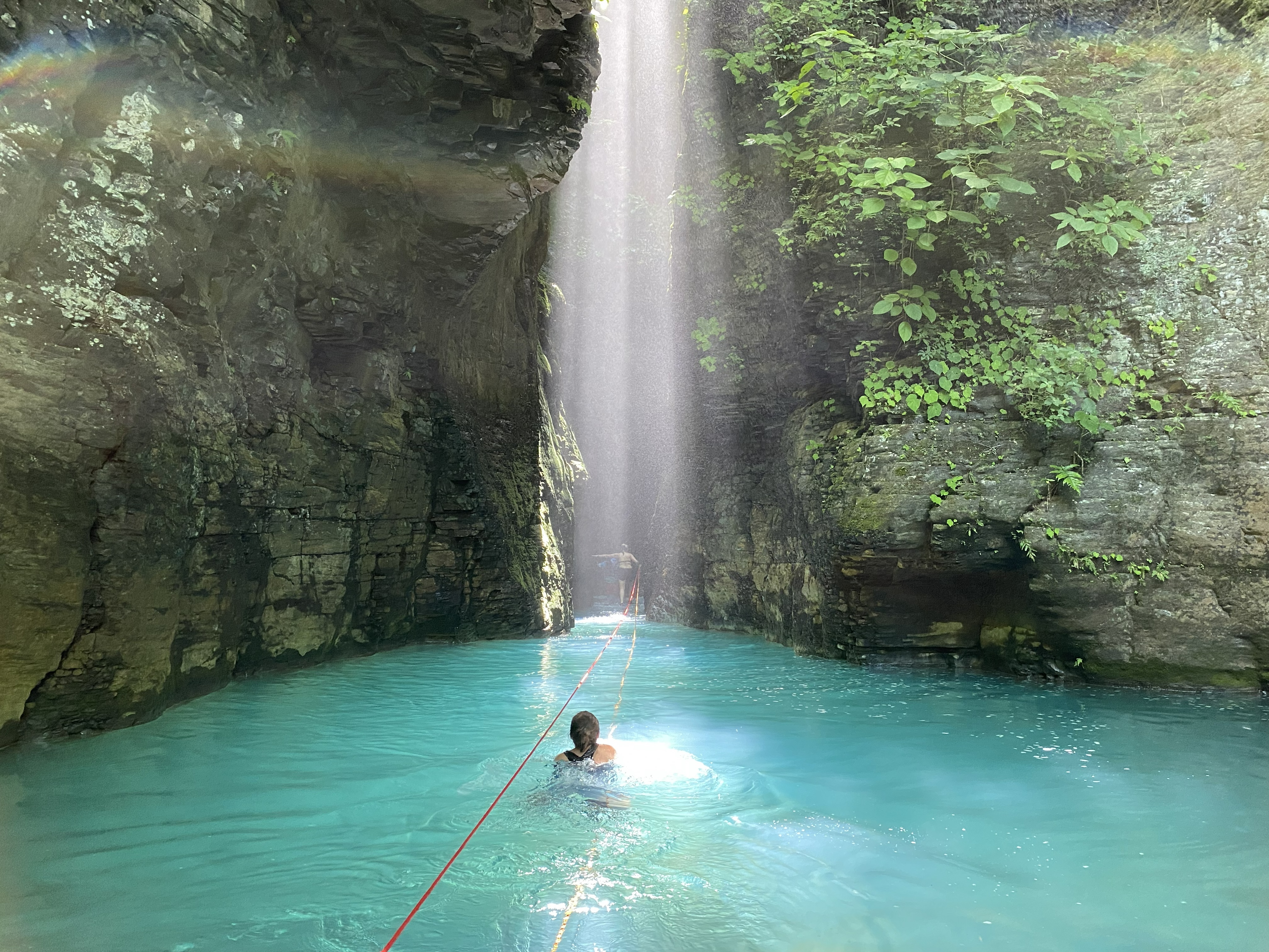 Toucans tours in guanacaste area, costa rica